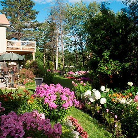 Gîte Au Pied Du Courant Mont-Laurier Extérieur photo