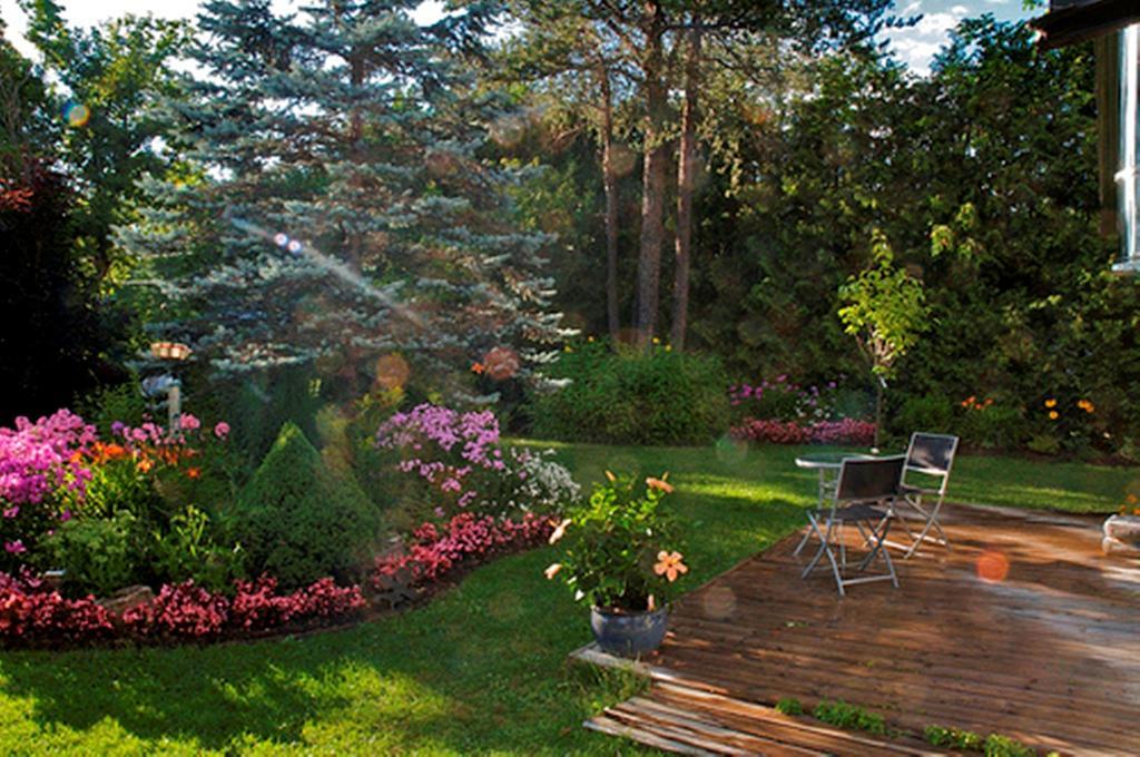 Gîte Au Pied Du Courant Mont-Laurier Extérieur photo