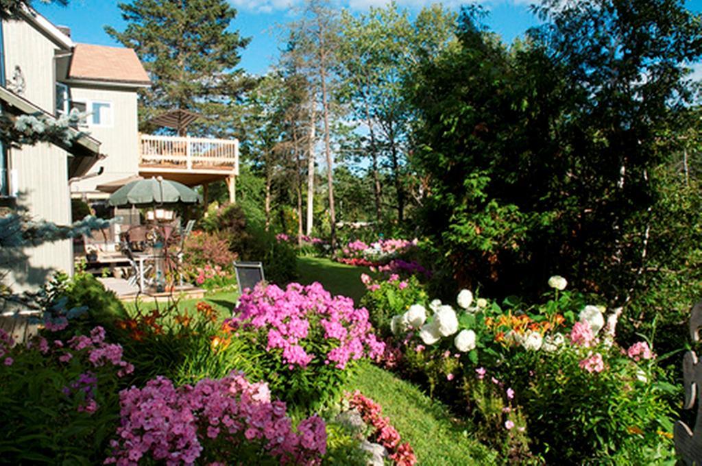 Gîte Au Pied Du Courant Mont-Laurier Extérieur photo