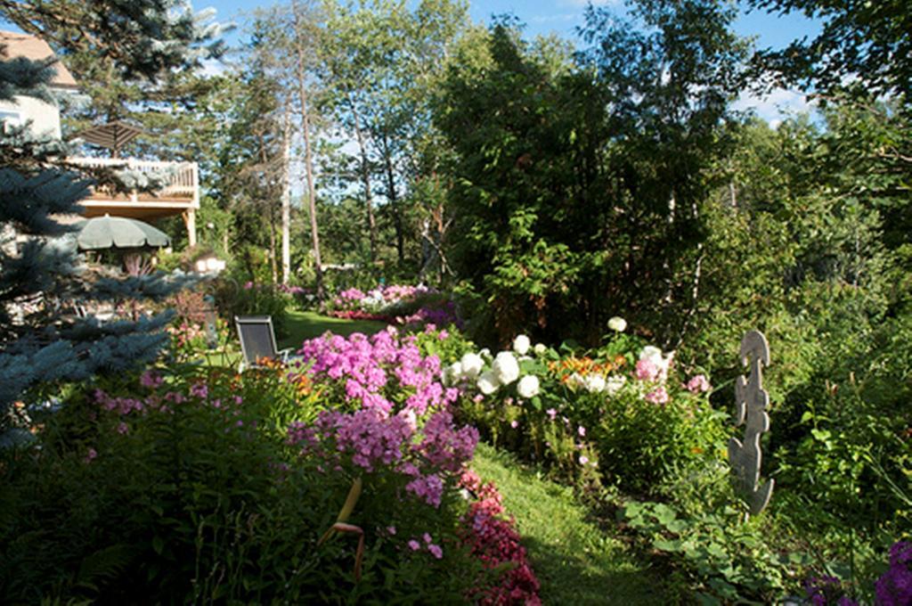 Gîte Au Pied Du Courant Mont-Laurier Extérieur photo